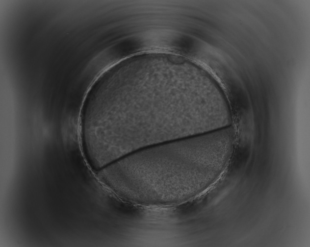 X0000095671133200801291131