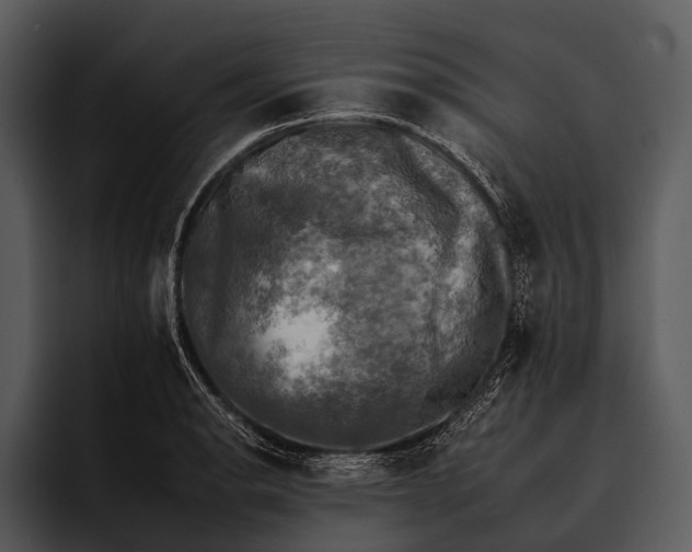 X0000095671134200801291131