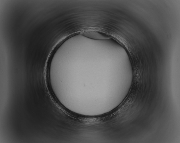 X0000095671135200801291131