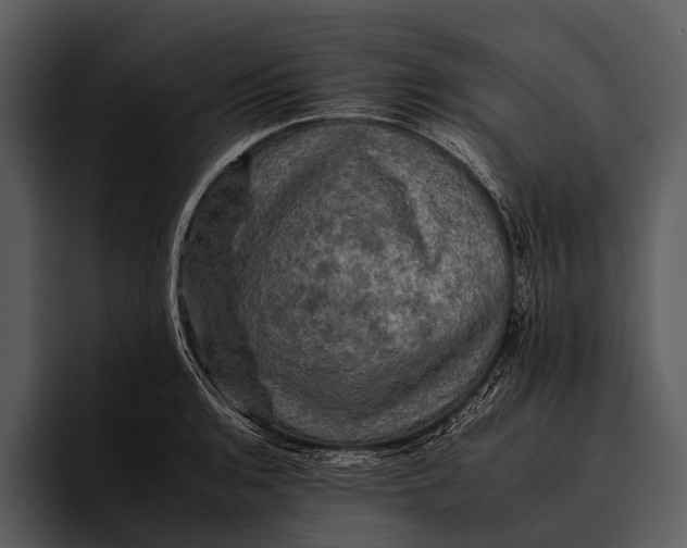 X0000095671136200801291131