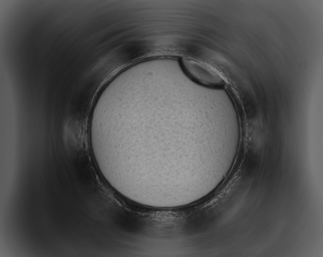 X0000095671137200801291131