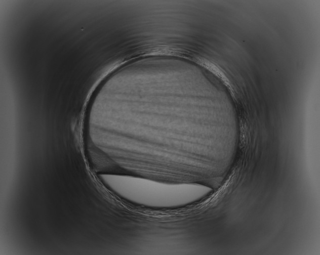 X0000095671138200801291131