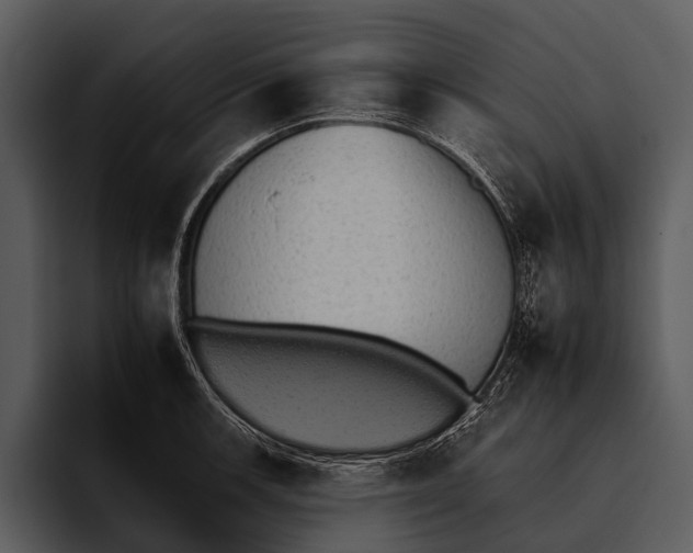 X0000095671139200801291131