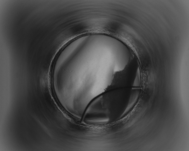 X0000095671141200801291131