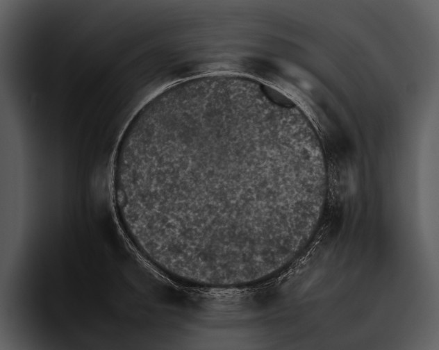 X0000095671142200801291131