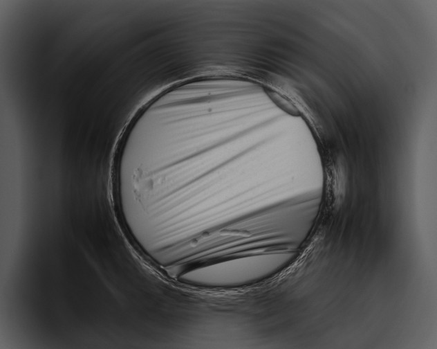 X0000095671143200801291131