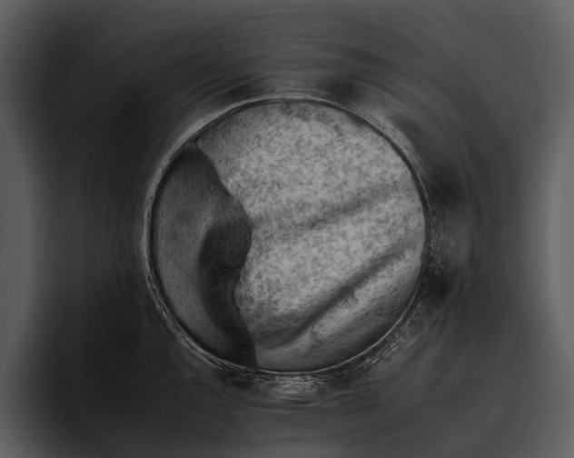 X0000095671144200801291131