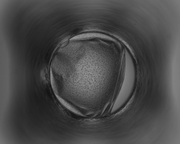 X0000095671145200801291131