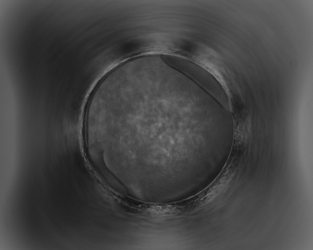 X0000095671146200801291132