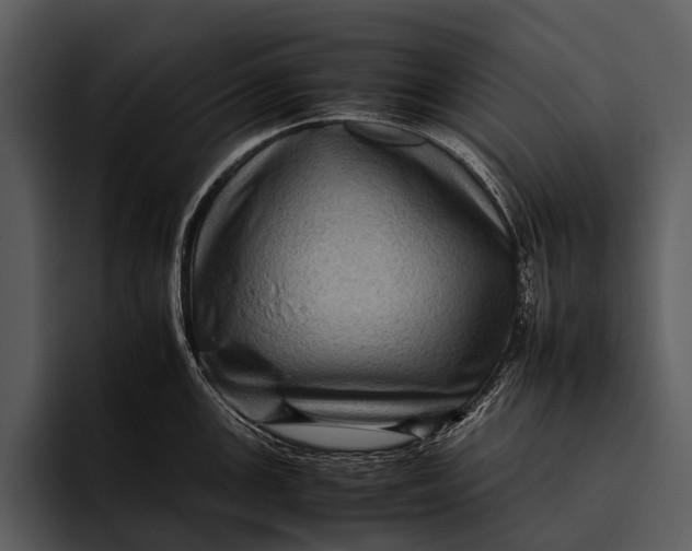 X0000095671147200801291132