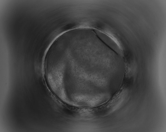 X0000095671148200801291132