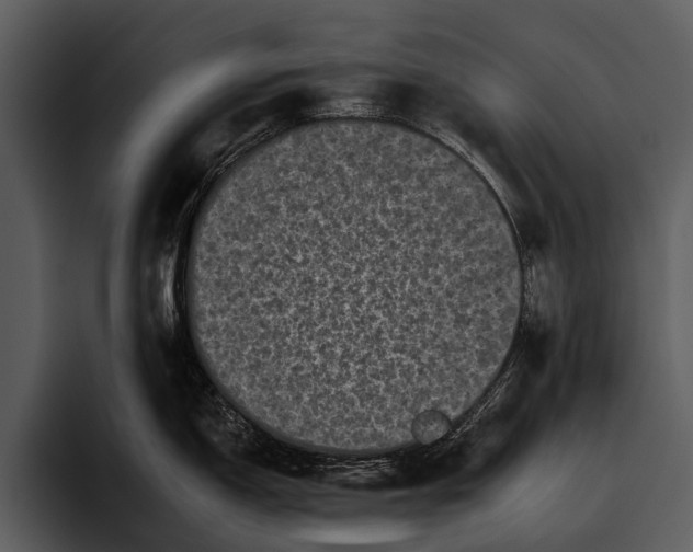 X0000095671150200801291132