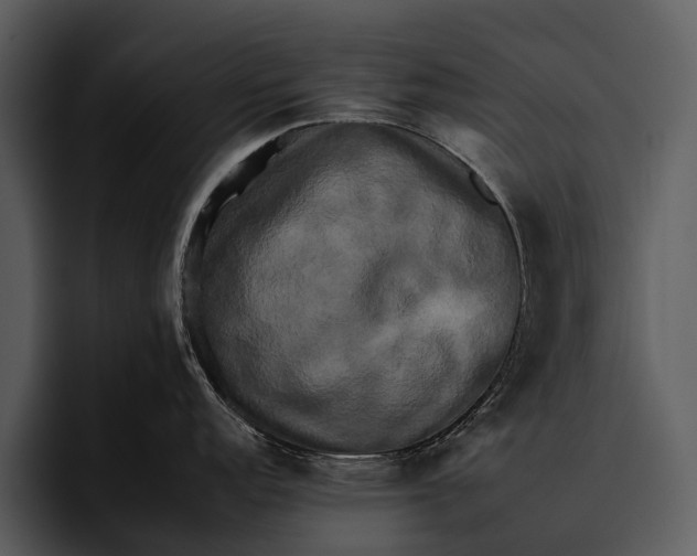 X0000095671152200801291132