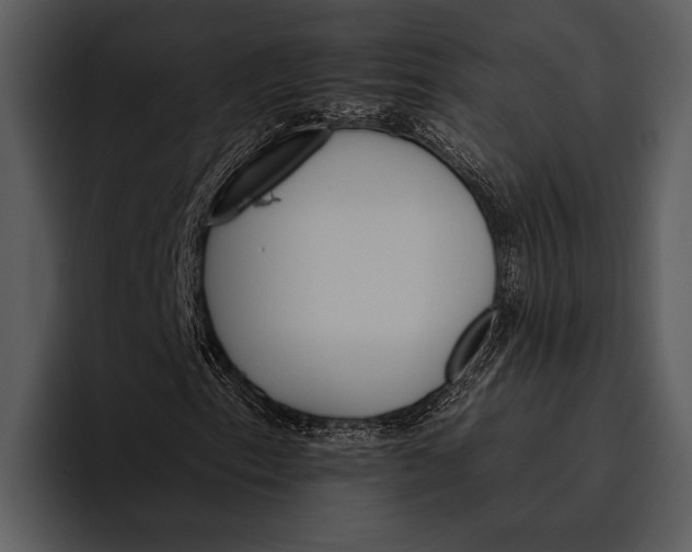 X0000095671153200801291131