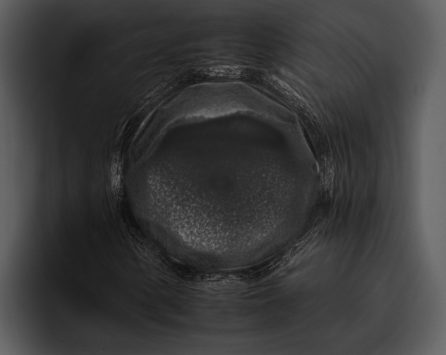 X0000095671154200801291131