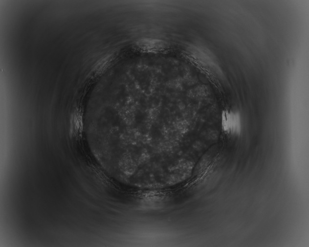 X0000095671155200801291131