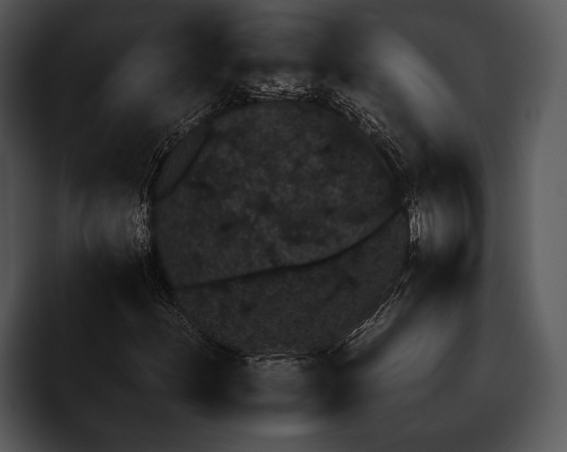 X0000095671156200801291131