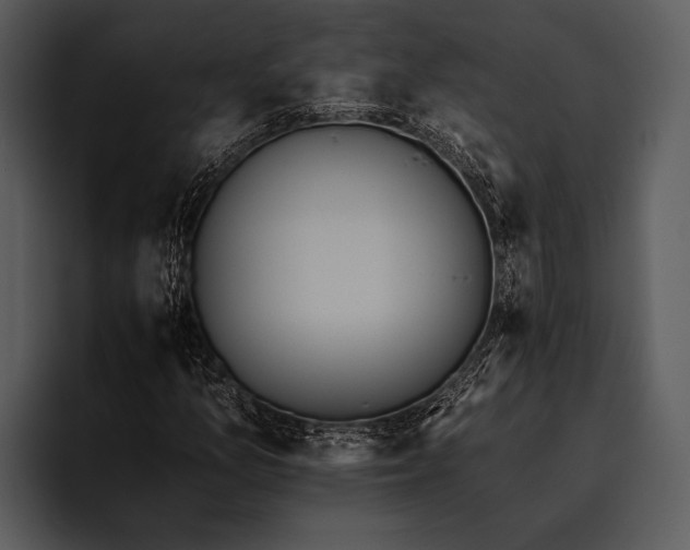 X0000095671157200801291131