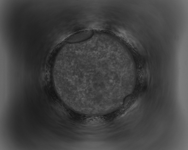 X0000095671159200801291131