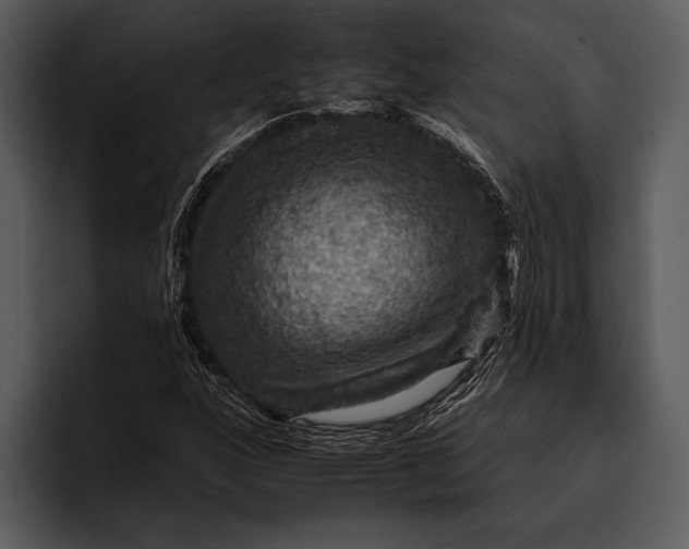 X0000095671160200801291131