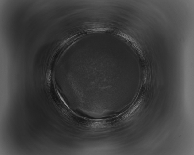 X0000095671161200801291131