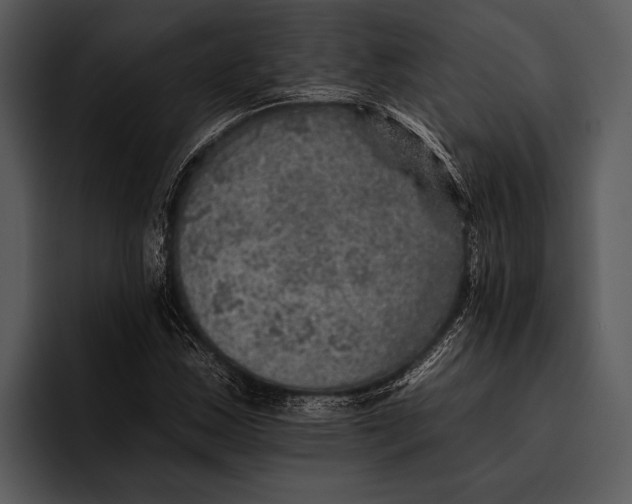 X0000095671163200801291131