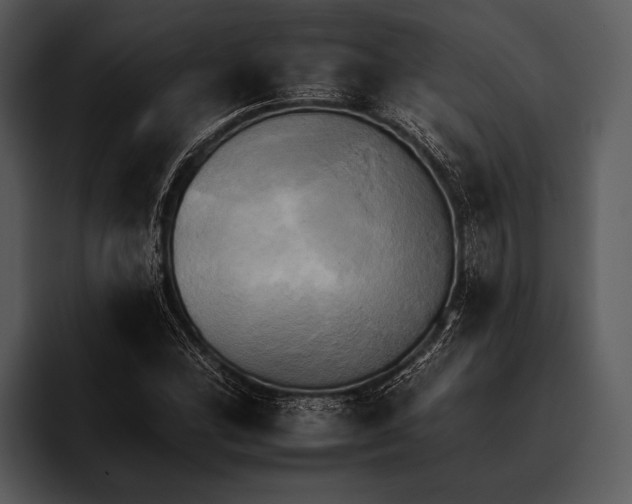 X0000095671164200801291131