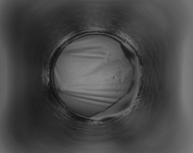 X0000095671165200801291131