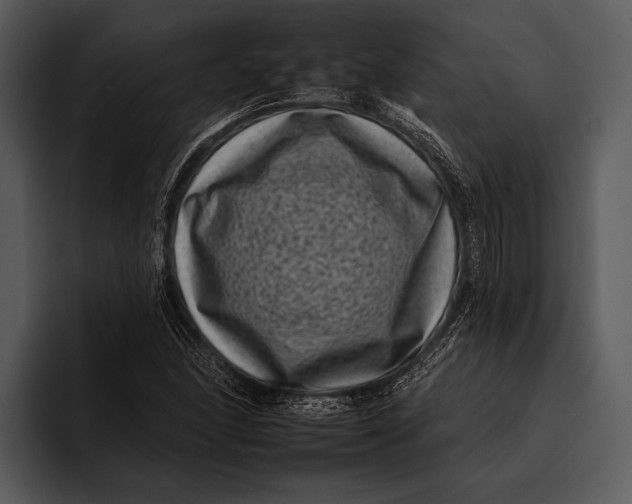 X0000095671166200801291131