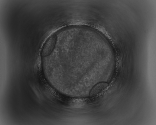 X0000095671167200801291131