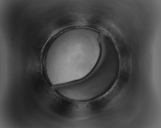 X0000095671168200801291131