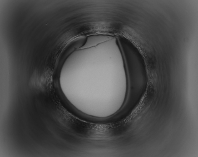 X0000095671169200801291131