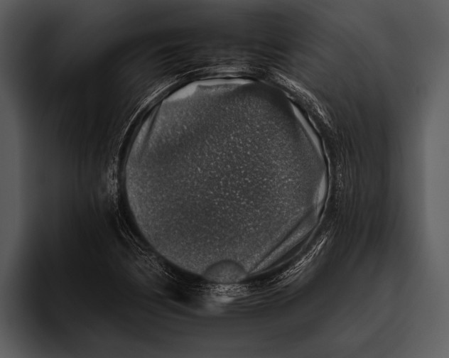 X0000095671170200801291131