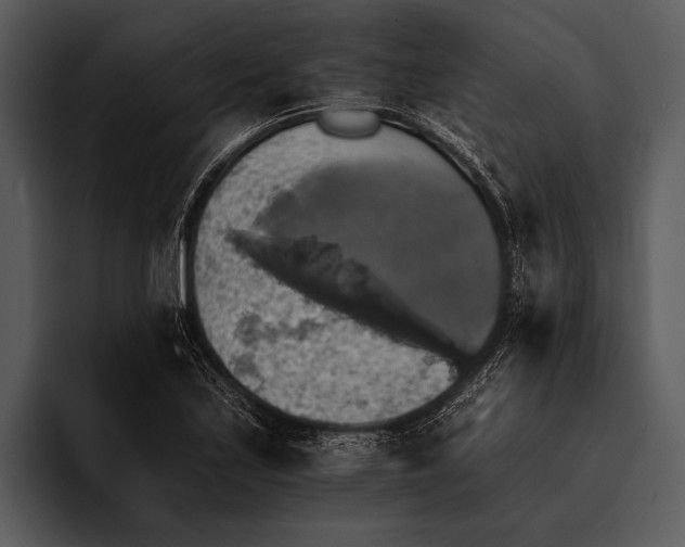 X0000095671171200801291131