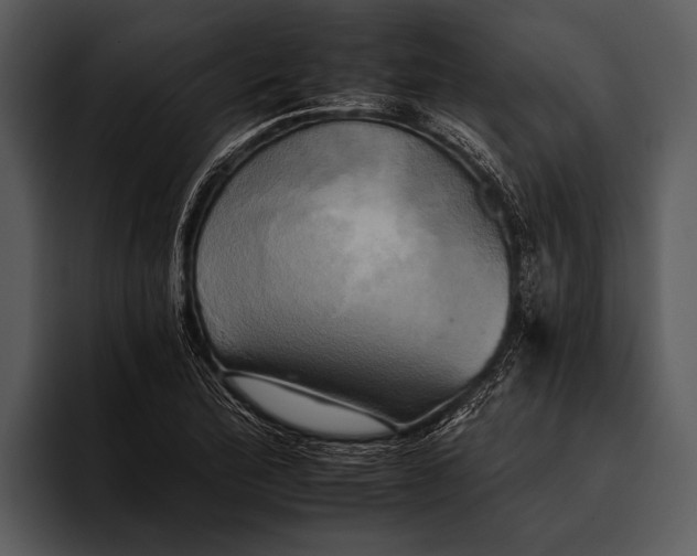 X0000095671172200801291131