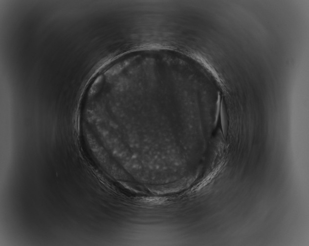 X0000095671173200801291131