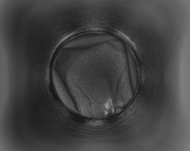 X0000095671174200801291131