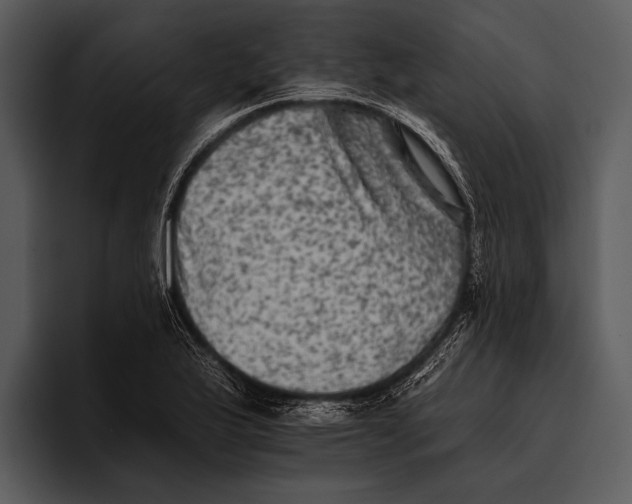 X0000095671175200801291131