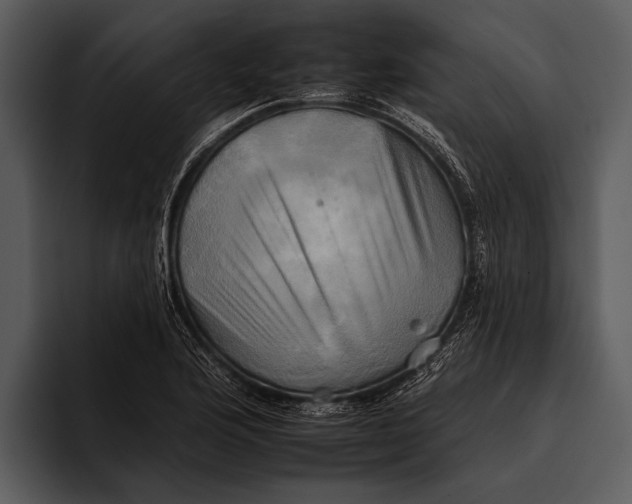 X0000095671176200801291131