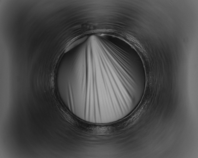 X0000095671177200801291131