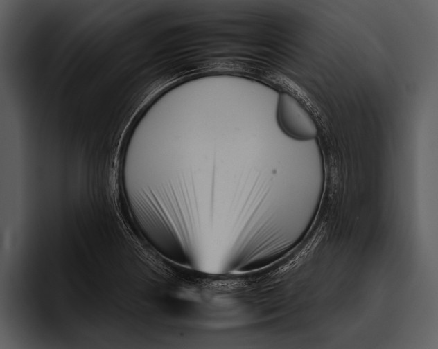 X0000095671178200801291131