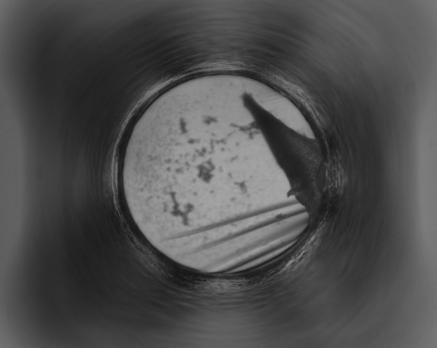 X0000095671179200801291131