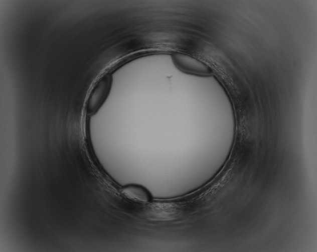 X0000095671180200801291131