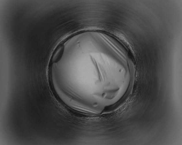 X0000095671181200801291131