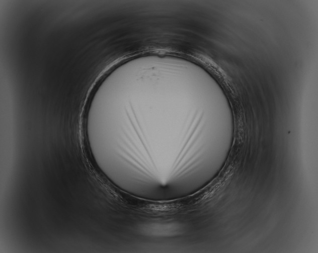 X0000095671182200801291131