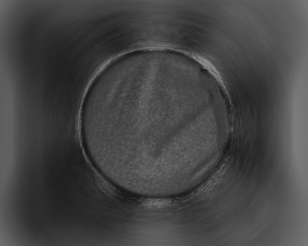 X0000095671183200801291131