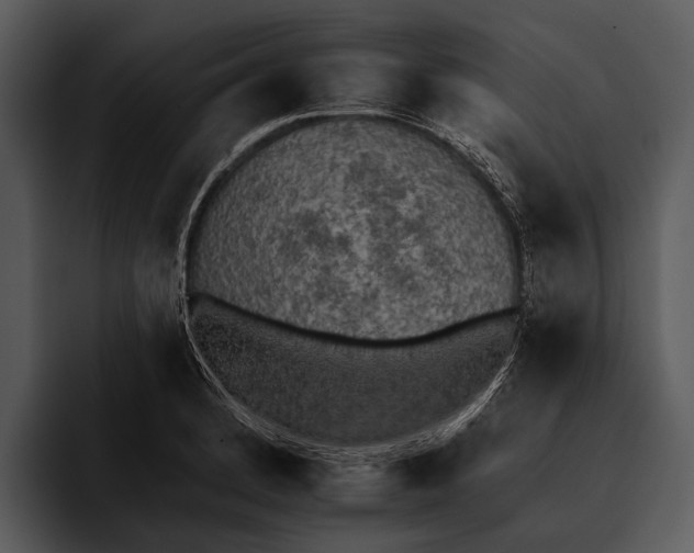 X0000095671184200801291131