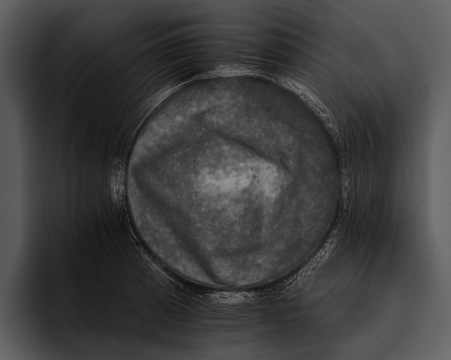 X0000095671185200801291131