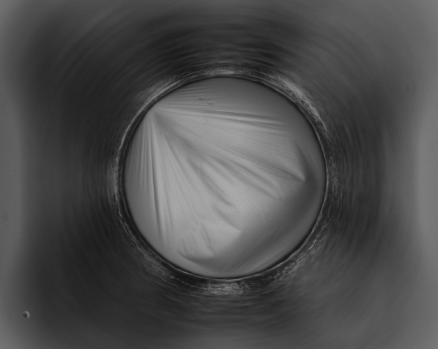 X0000095671186200801291131