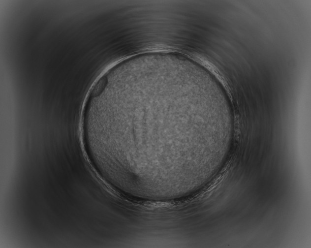 X0000095671187200801291131